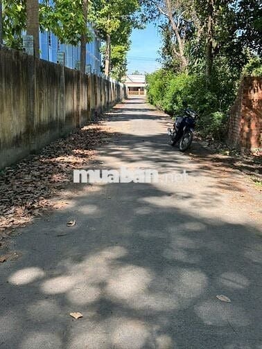Bán Vườn 3426m2, Giá 750 triệu, thương lượng, Sát trường học An Linh,