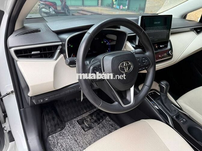 Altis 1.8V 2022