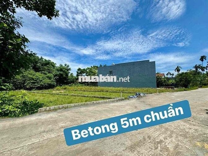 Bán Lô Biệt Thự 323m2 ngang 13m Betong 5m Hoà Xuân