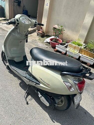 Alizabeth biển tp.Máy siêu êm ngon.xe còn đẹp