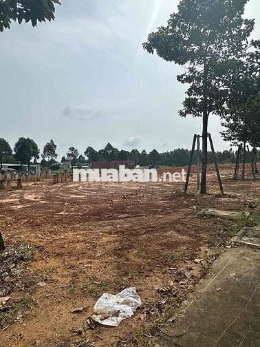 mặt tiền kinh doanh vành đai 4