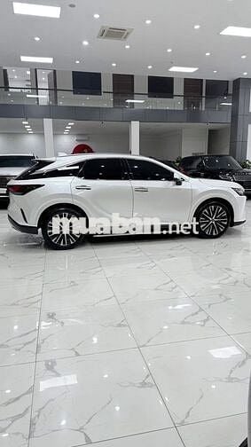 Bán lexus RX350 Premium Sản xuất 2024.