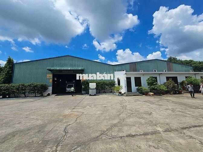 Cần bán đất xưởng SKC 15.000m² tại An Điền Bến Cát Bình Dương