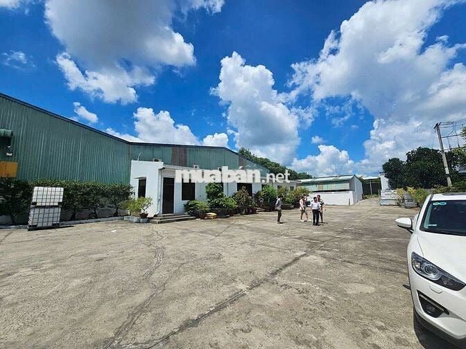 Cần bán đất xưởng SKC 15.000m² tại An Điền Bến Cát Bình Dương