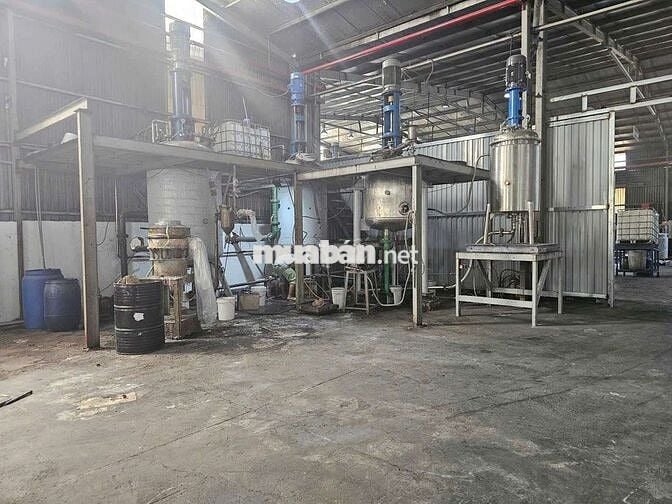 Cần bán đất xưởng SKC 15.000m² tại An Điền Bến Cát Bình Dương