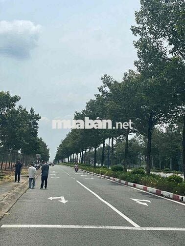 mặt tiền kinh doanh vành đai 4