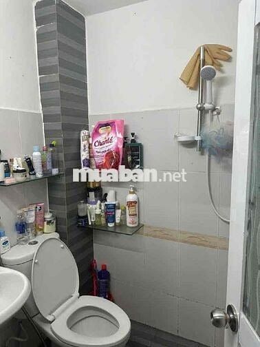 Bán Nhà Mặt Tiền— Tân Phú Phú Thọ Hoà 28m2 Lê Quốc Trinh