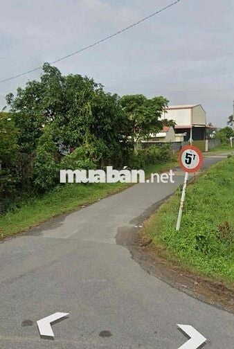 BÁN LÔ ĐẤT 175m2 FULL THỔ CƯ- XÂY DỰNG TỰ DO