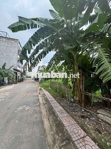 BÁN ĐẤT NỀN THỔ CƯ. Đ. HỒ VĂN LONG. Q.BÌNH TÂN. 4mx16m. 3TỶ590.SHr