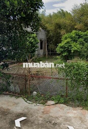 LÔ ĐẤT 175m2 FULL THỔ CƯ XÂY DỰNG TỰ DO