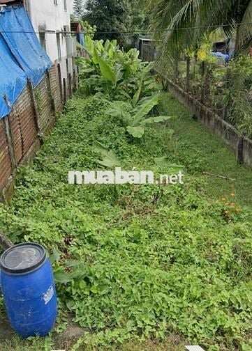 LÔ ĐẤT 175m2 FULL THỔ CƯ XÂY DỰNG TỰ DO