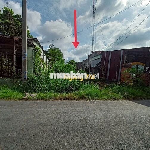 Cần bán lô đất 232m2, giá 1,5 tỷ Đ.Suối Lội, Tân An Hội, sổ hồng riêng