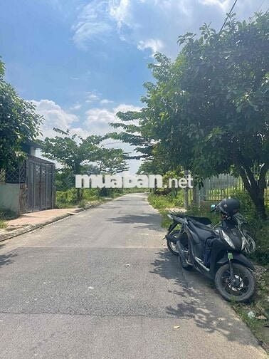 Bán gấp lô góc 2 mặt tiền xã Bình Minh 1 tỷ 450 vị trí vàng
