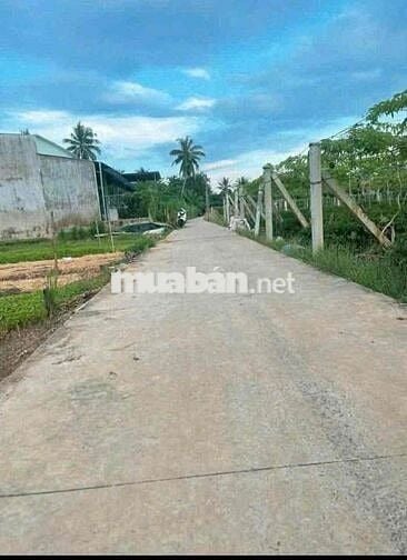 *** ĐẤT NỀN MỸ HOÀ - MỸ PHONG ( cách quãng trường 3km)
