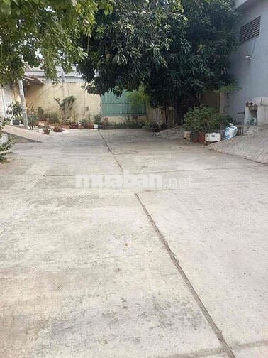 kho cho thuê 2MT Nguyễn quý Yêm an lạc bình Tân DT 160m giá 20tr