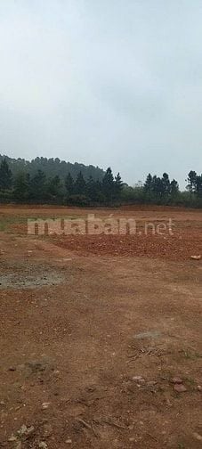 Đất nghỉ dưỡng giáp framingo Đại Lải