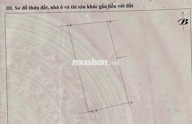 Đất sổ hồng 2132m2 ở Thị xã Cai Lậy Tiền Giang
