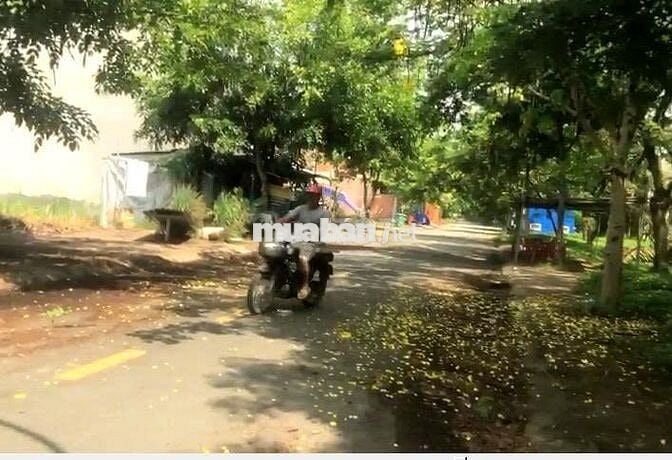 BÁN ĐẤT KHU DÂN CƯ AN PHÚ TÂY, BÌNH CHÁNH