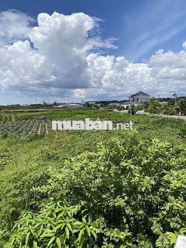 Bán nhà mặt tiền 126m2, 2PN, Tỉnh Lộ 879D, đường về Mẹ Mẫu Tiền Giang