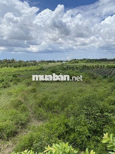 Bán nhà mặt tiền 126m2, 2PN, Tỉnh Lộ 879D, đường về Mẹ Mẫu Tiền Giang