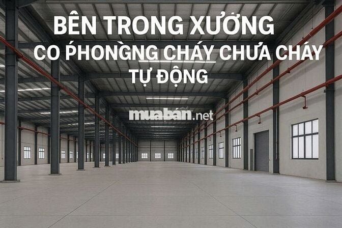 Cho thuê kho xưởng KCN Tân Phú Trung, Củ chi, PCCC tự động , dock cont