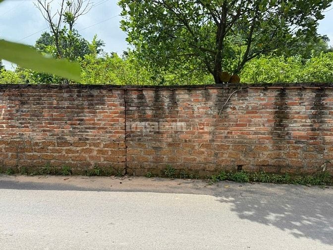 Bán 600m2 - Đất Sơn Tây TP Hà Nội - Giá rẻ đầu tư kho xưởng - Xây nhà 