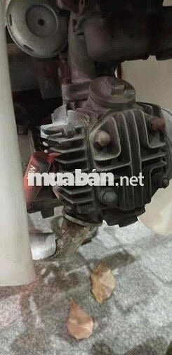 Bán Xe Cúp 81 Cho Học Sinh