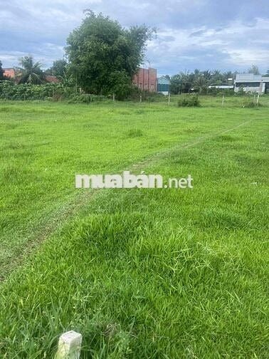 CHÍNH CHỦ BÁN LÔ ĐẤT LỘC HOÀ 1 ĐỨC HOÀ 150m2