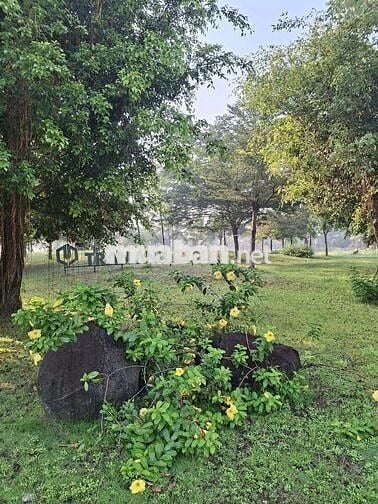 Bán nhanh nhà 1 trệt 2 lầu, 4pn + 2wc_ Cách Hóc Môn 1km, thương lượng