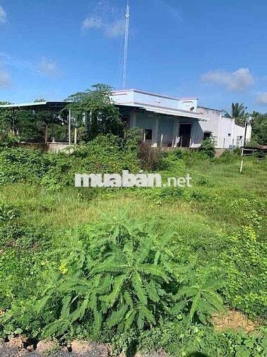 CHÍNH CHỦ BÁN GẤP LÔ ĐẤT MẶT TIỀN HỒ CHÍ MINH ĐỨC HOÀ