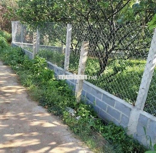 Cần bán mảnh đất vườn 1000m2 giá 650tr có SHR