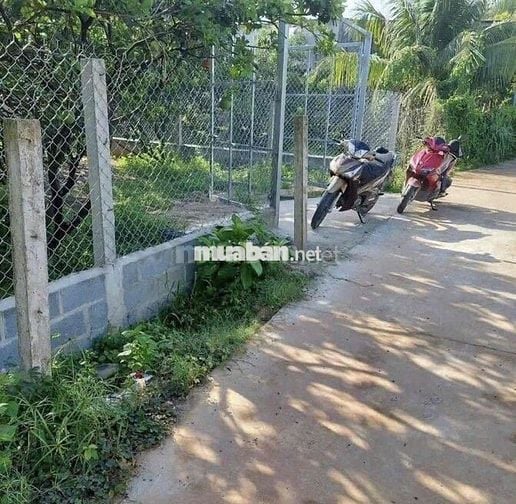 Cần bán mảnh đất vườn 1000m2 giá 650tr có SHR