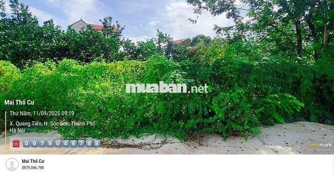 View hồ Quang Tiến- Sóc Sơn- DT 100m2-Chỉ 2.x tỷ-Đường thông-Oto tránh