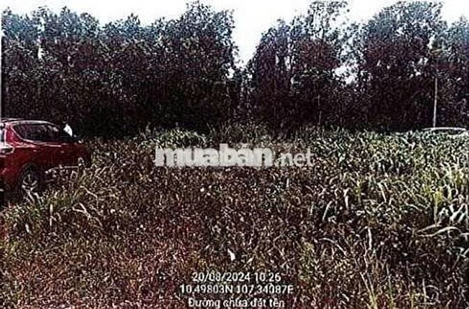 Bán ĐGTS đất tại TĐ số: 96, xã Đất Đỏ, TP. Hồ Chí Minh
