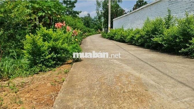 Bán đất Minh Hồng, Minh Quang, Ba Vì 2020m, lô góc, mt lớn, oto, 3.1tỷ