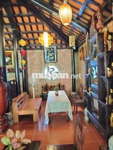 CHO THUÊ MẶT BẰNG ĐẸP SÂN VƯỜN HÒA XUÂN ĐẦY ĐỦ ĐỒ ĐAC NỘI THẤT