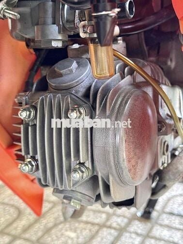WAVE ALPHA DỌN REFSOL BS THẦN TÀI 65P8-3979