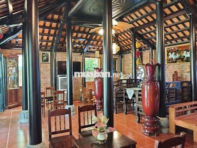 CHO THUÊ MẶT BẰNG ĐẸP SÂN VƯỜN HÒA XUÂN ĐẦY ĐỦ ĐỒ ĐAC NỘI THẤT