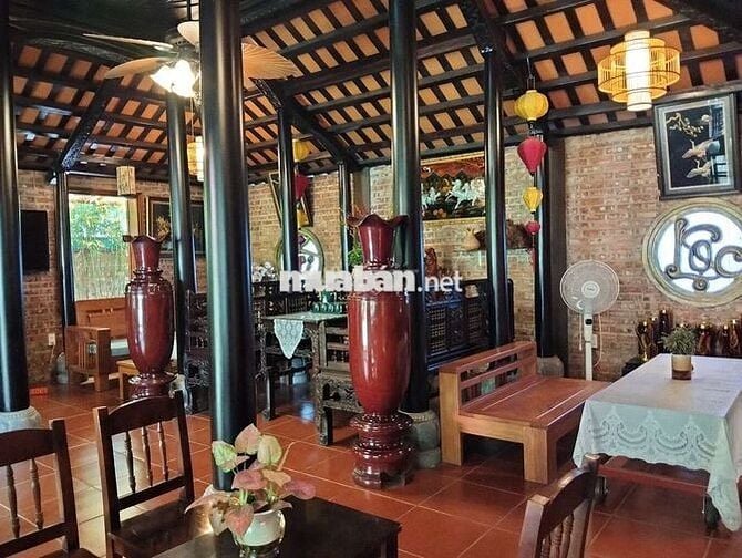 CHO THUÊ MẶT BẰNG ĐẸP SÂN VƯỜN HÒA XUÂN ĐẦY ĐỦ ĐỒ ĐAC NỘI THẤT