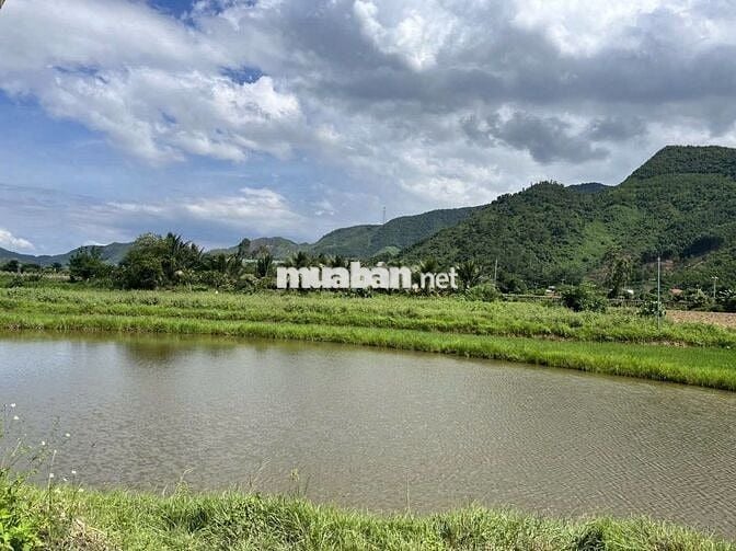 LÔ GÓC 2 MẶT TIỀN THÔN NAM YÊN HÒA VANG ĐÀ NẴNG. XÂY HOMESTAY