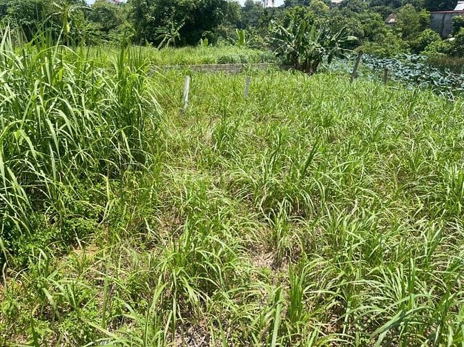 Lô Góc 283m ,Hai Mặt Tiền-Địa Thế Đẹp Phong Thủy Tốt - Rẻ Nhất Hà Nội