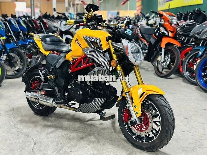 XE MÁYTHANH TÙNG_AGUSTA VÀNG ĐEN CÔN TAY BIỂN 29