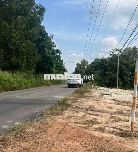 Sở hữu ngay đất kcn Bàu Bàng chỉ với 219 tr