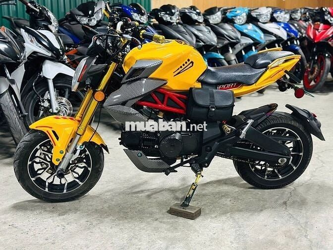 XE MÁYTHANH TÙNG_AGUSTA VÀNG ĐEN CÔN TAY BIỂN 29