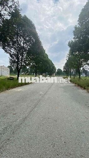 LÔ ĐẤT 150M2(5x30) TTHC BÀU BÀNG GẦN CHỢ ĐÊM BÀU BÀNG ,SHR, MTĐ 8M