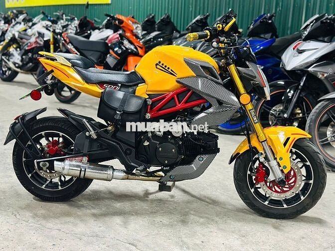 XE MÁYTHANH TÙNG_AGUSTA VÀNG ĐEN CÔN TAY BIỂN 29