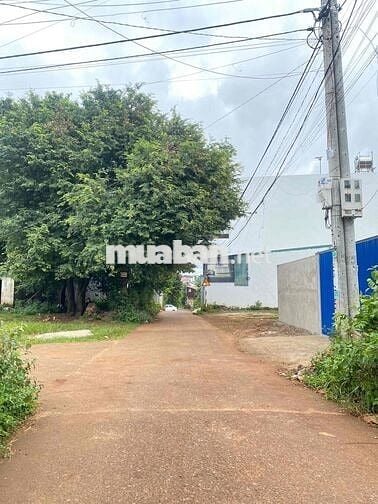 Siêu phẩm hơn 500m2 - Hẻm cấp 1 Mai Thị Lựu gần bv Vùng