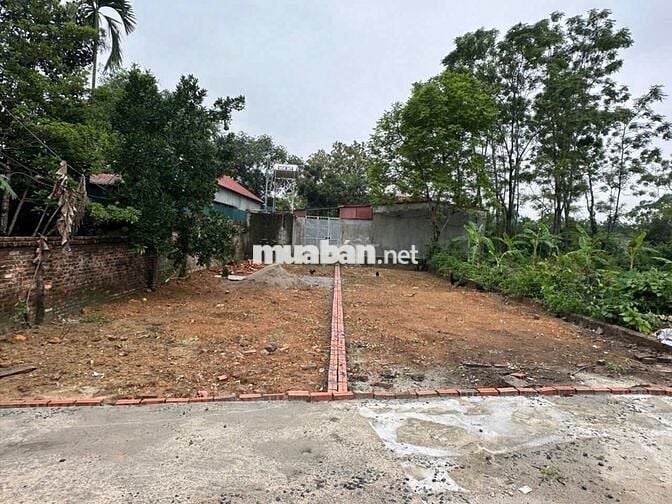 đất chính chủ người nhà cần bán gấp,ac quân tâm ib e hoặc lh 898330698