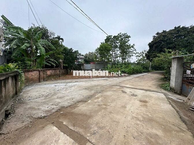 đất chính chủ người nhà cần bán gấp,ac quân tâm ib e hoặc lh 898330698