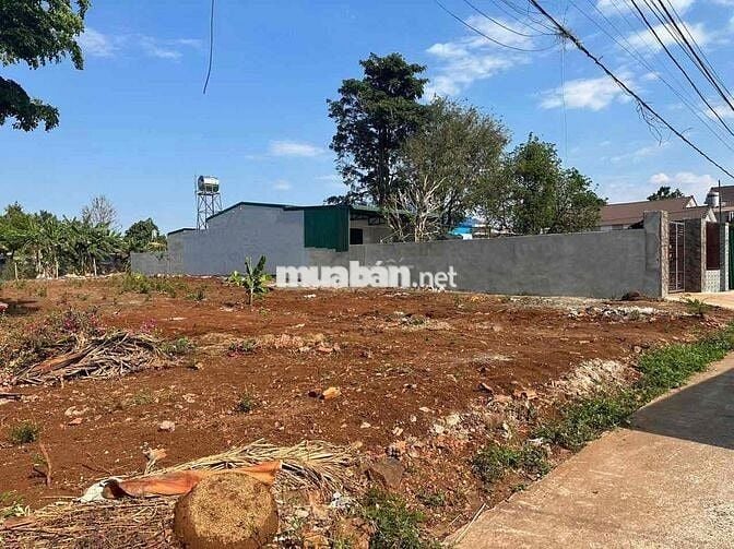 Siêu phẩm hơn 500m2 - Hẻm cấp 1 Mai Thị Lựu gần bv Vùng